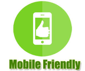 mobile friendly icon