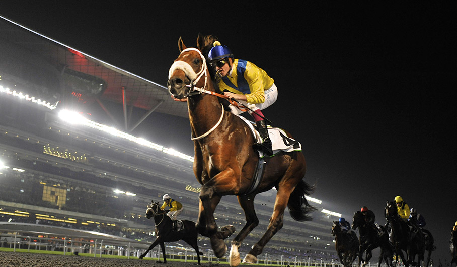 Bet on Dubai World Cup