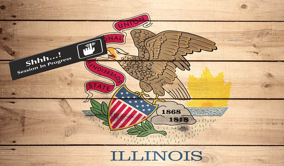 daily fantasy sports in illinois