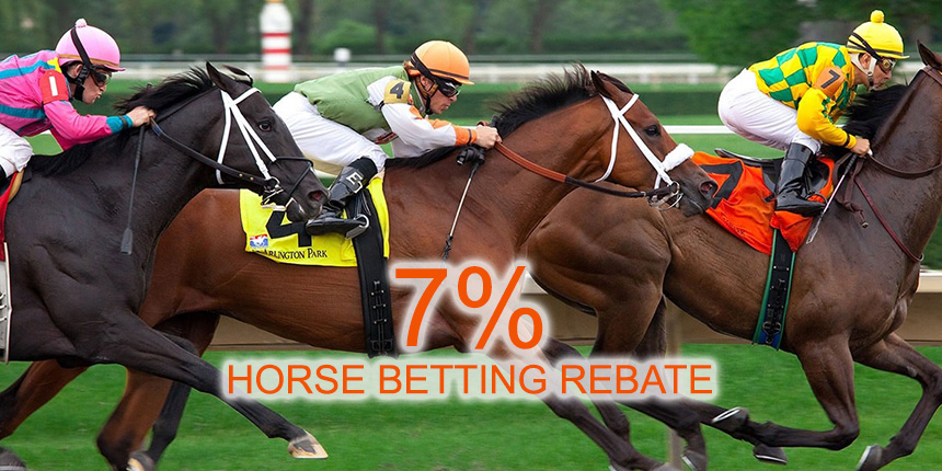 MyBookie Sports Review 1