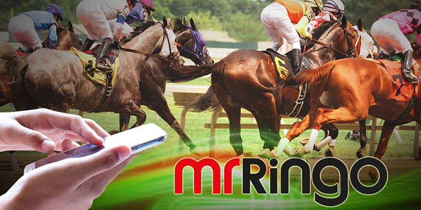 Mr Ringo Sports Review 4